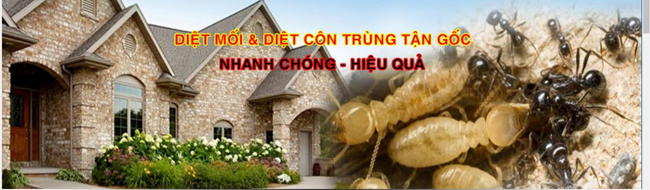 http://dietmoitangoc68.com/dich-vu-phong-chong-moi-tai-ho-chi-minh--51.html