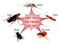 Diet muỗi ruồi, kiên, gián, và côn trùng